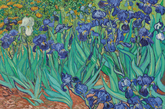 Vincent van Gogh - Les Irises Poster, Plakat, 91.5 × 61 cm