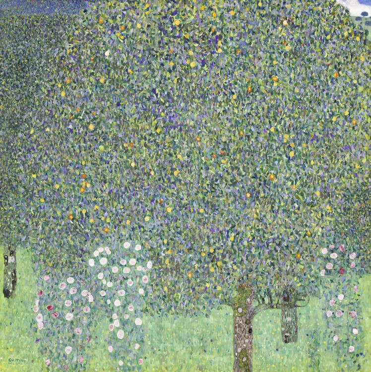 Roses under the Trees (1905), Gustav Klimt Poster, Plakat, 40 × 40 cm