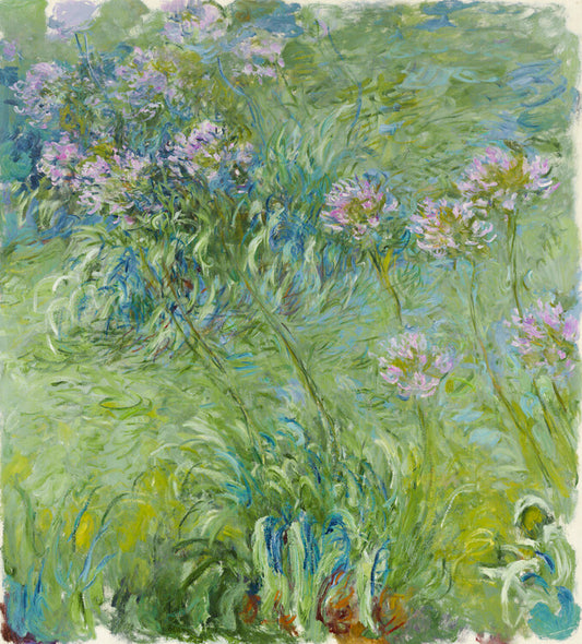 Agapanthus (1914–26), Claude Monet Poster, Plakat, 40 × 40 cm