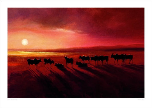 Kunstdruck Jonathan Sanders - Zebu At Dusk, 70 × 50 cm