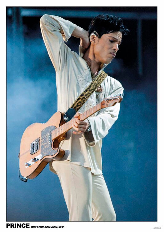Prince Poster, Plakat, 59.4 × 84.1 cm