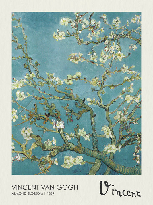 Mandelblüten Poster, Plakat, 30 × 40 cm