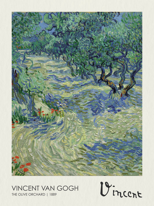 Olive Orchard (1889), Vincent van Gogh Poster, Plakat, 30 × 40 cm