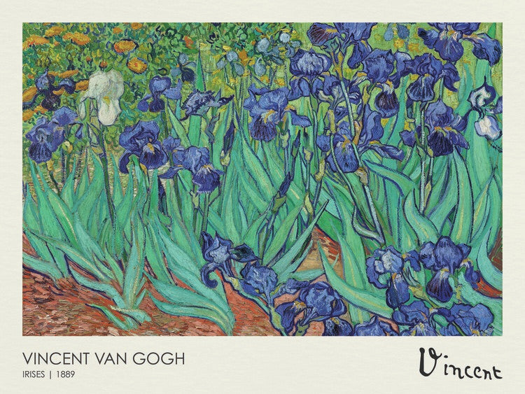 Irises (1889), Vincent van Gogh Poster, Plakat, 40 × 30 cm