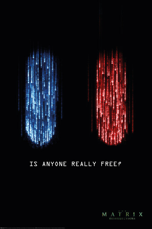 The Matrix: Resurrections - The Choice is Yours Poster, Plakat, 61 × 91.5 cm