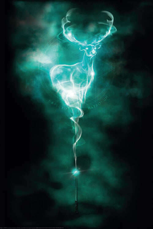 Harry Potter - Patronus Stag Poster, Plakat, 61 × 91.5 cm