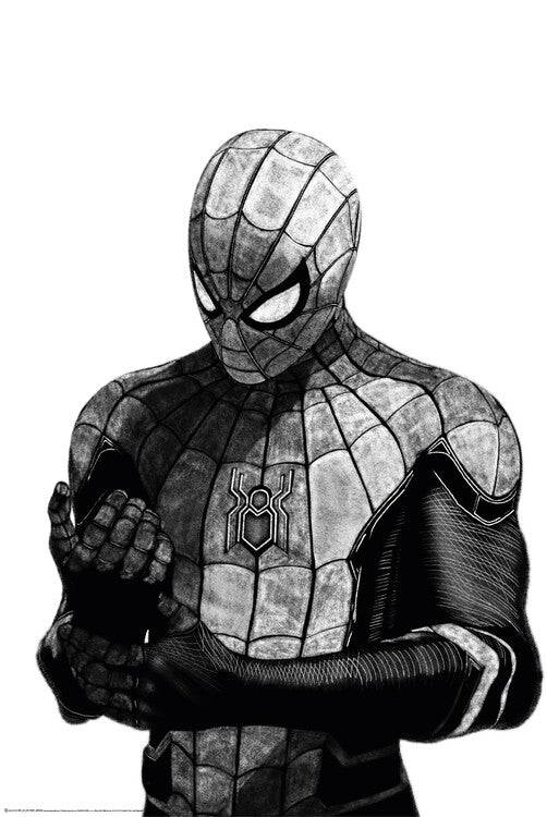 Spider-man Poster, Plakat, 61 × 91.5 cm