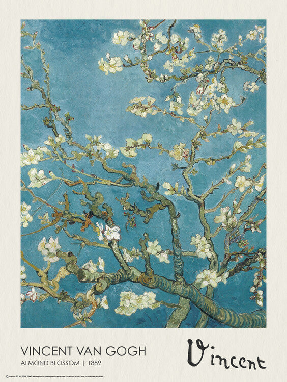 Almond Blossoms, Vincent van Gogh Poster, Plakat, 45 × 60 cm