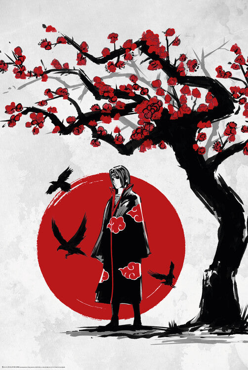 Ninja under the Sun Poster, Plakat, 61 × 91.5 cm