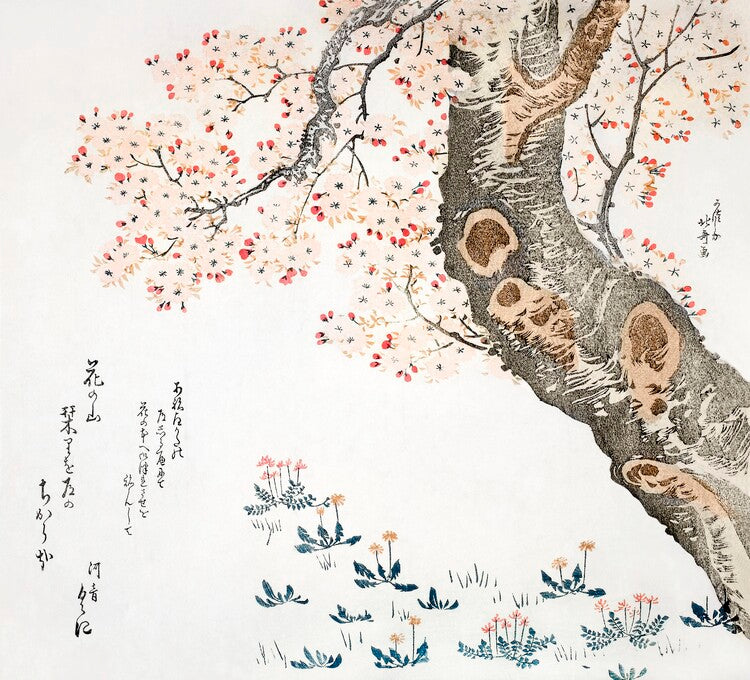 Leinwand Poster, Bilder Cherry tree (1822), Katsushika Hokusai, 80 × 70 cm