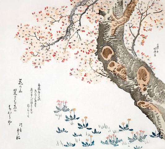 Leinwand Poster, Bilder Cherry tree (1822), Katsushika Hokusai, 80 × 70 cm