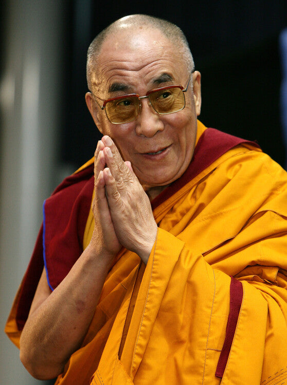 Leinwand Poster, Bilder The Dalai Lama, 2008, Don Arnold, 55 × 75 cm