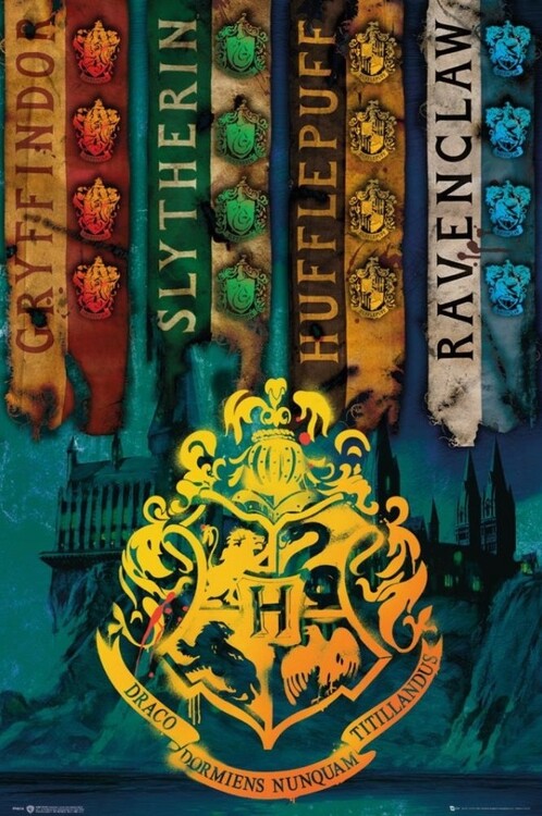 Harry Potter - House Flags Poster, Plakat, 61 × 91.5 cm