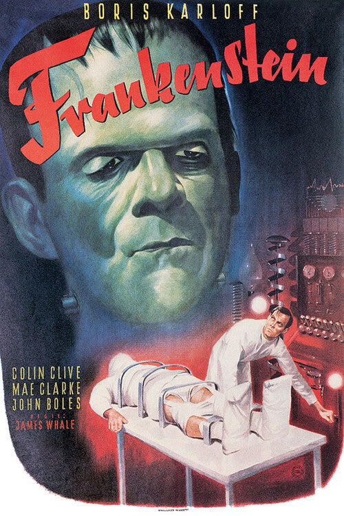 Frankenstein Poster, Plakat, 61 × 91.5 cm