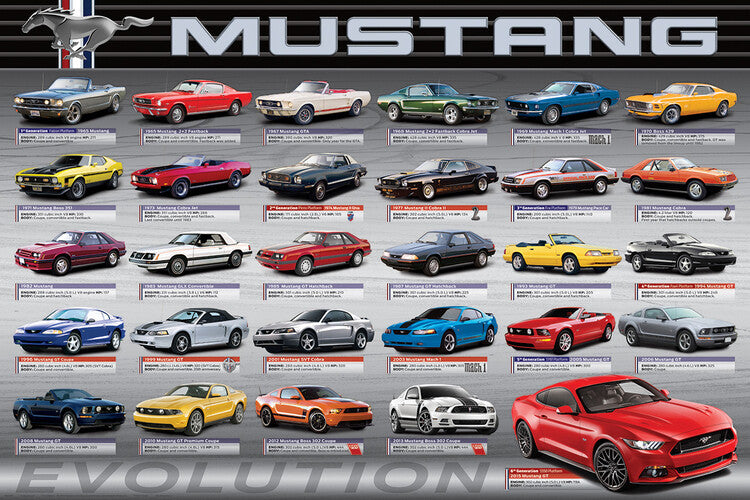 Ford Mustang Evolution 50th Ls Poster, Plakat, 91.5 × 61 cm