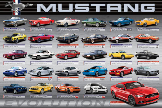 Ford Mustang Evolution 50th Ls Poster, Plakat, 91.5 × 61 cm
