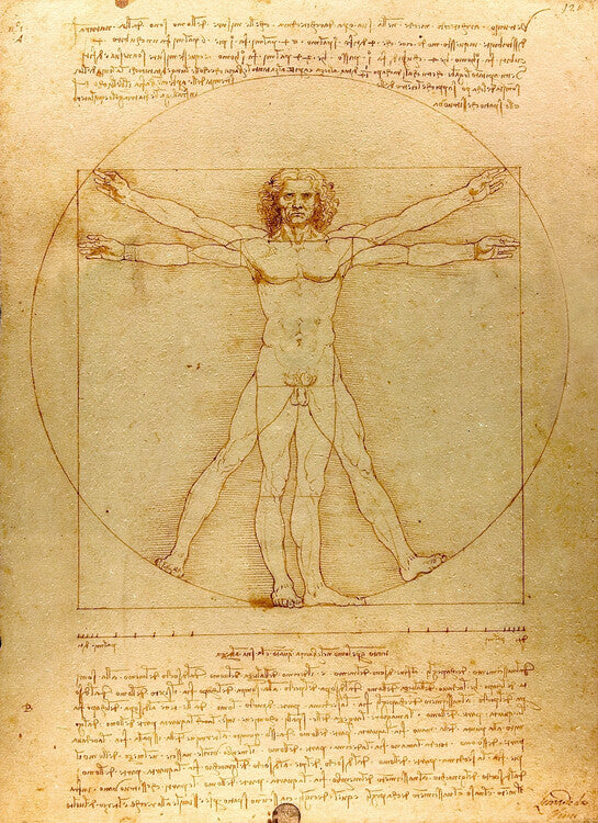 Der vitruvianische Mann, Leonardo Da Vinci Poster, Plakat, 61 × 91.5 cm