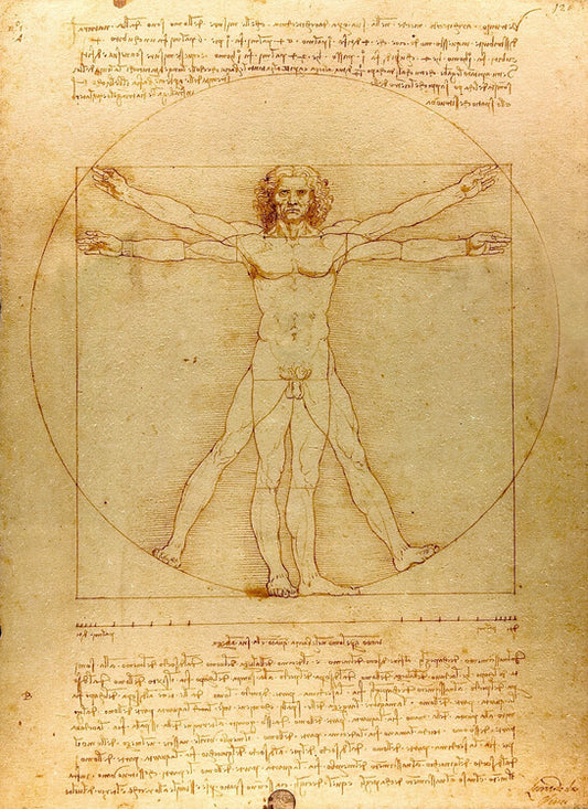 Der vitruvianische Mann, Leonardo Da Vinci Poster, Plakat, 61 × 91.5 cm