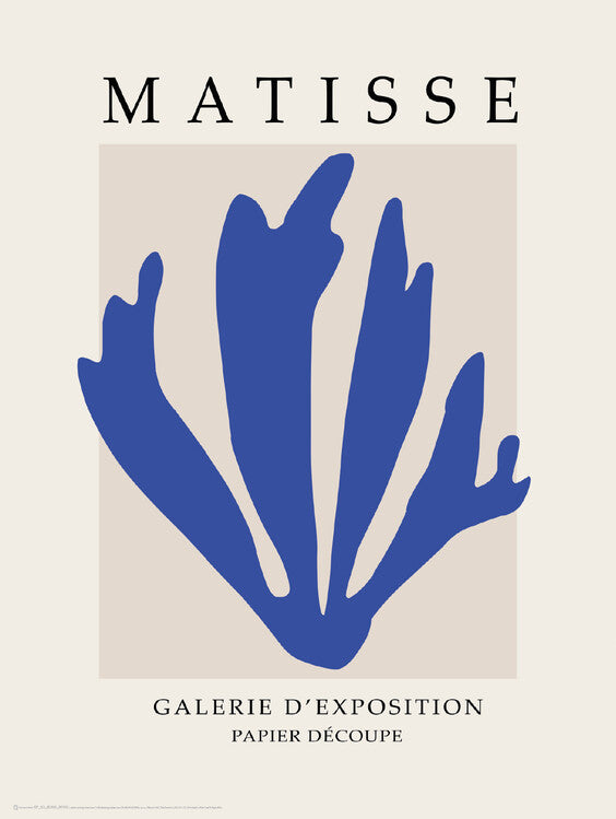 Matisse Galerie D'Exposition Poster, Plakat, 45 × 60 cm