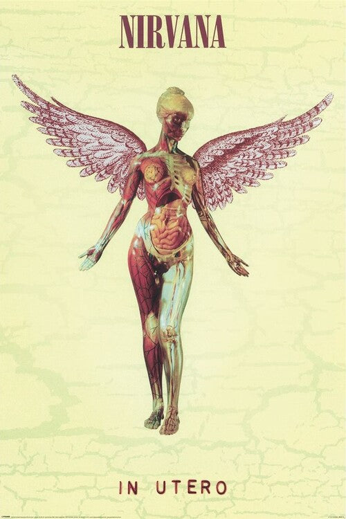 Nirvana - In Utero Poster, Plakat, 61 × 91.5 cm