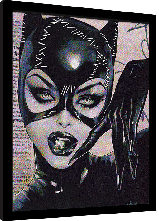 Catwoman Gerahmte Poster, Bilder, 34.3 x 44.5 cm