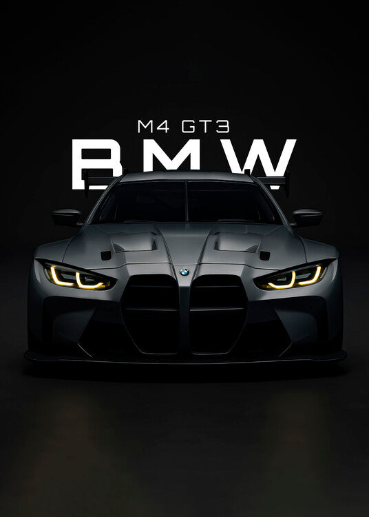 Leinwand Poster, Bilder BMW M3 GT3, 65 × 90 cm
