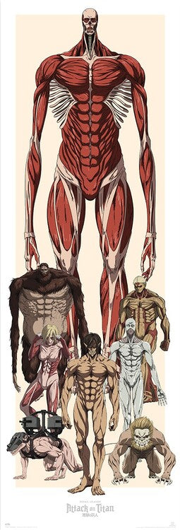 Attack on Titan Poster, Plakat, 53 × 158 cm