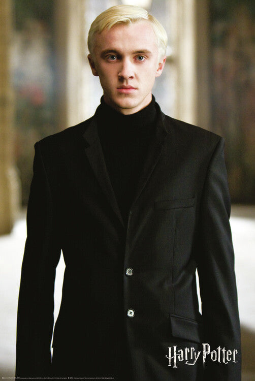 Harry Potter - Draco Malfoy Poster, Plakat, 61 × 91.5 cm