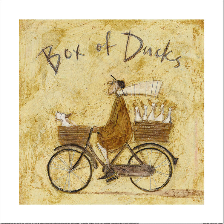 Kunstdruck Sam Toft - Box Of Ducks, 40 × 40 cm
