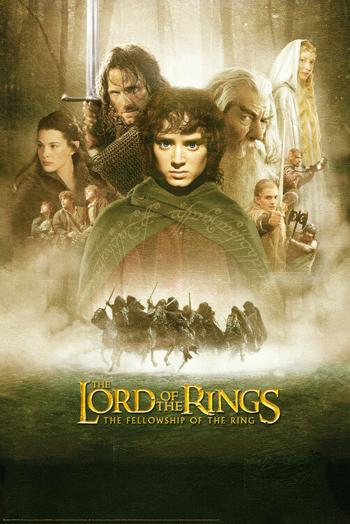 Lord of the Rings - The Fellowship of the Ring Poster, Plakat, 61 × 91.5 cm