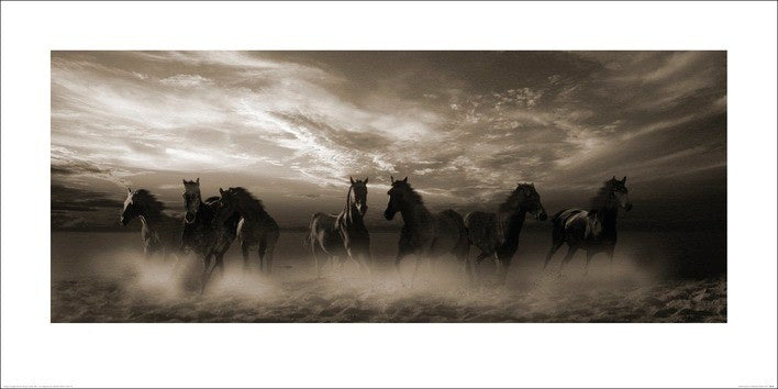 Kunstdruck Malcolm Sanders - Wild Stampede, 100 × 50 cm
