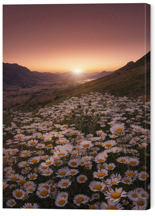 Leinwand Poster, Bilder Closer to the sun, Sergio AbeVilla, 50 × 70 cm