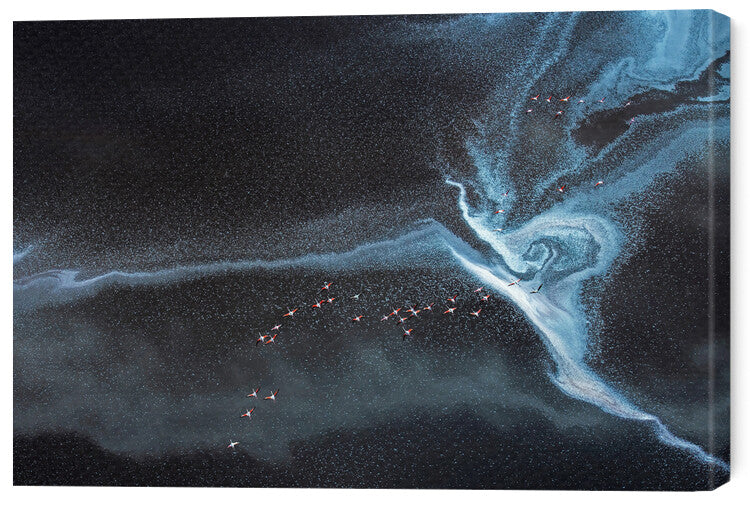 Leinwand Poster, Bilder Crossing, Hao Jiang, 60 × 40 cm