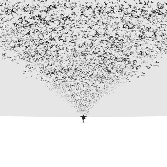 Leinwand Poster, Bilder The Dark Half, Hossein	Zare, 70 × 70 cm