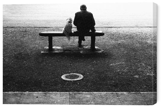Leinwand Poster, Bilder friends, franco	maffei, 60 × 40 cm