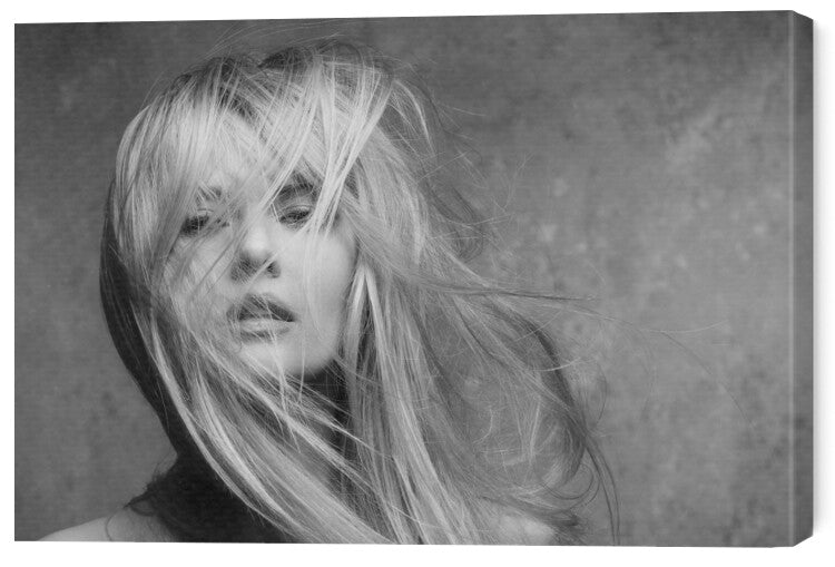 Leinwand Poster, Bilder Windswept Series, Howard	Ashton-Jones, 60 × 40 cm