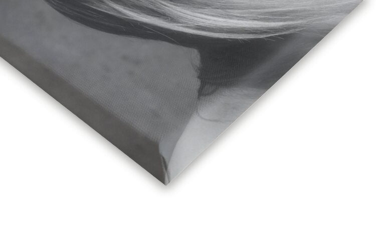 Leinwand Poster, Bilder Windswept Series, Howard	Ashton-Jones, 60 × 40 cm