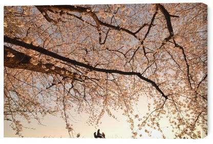 Leinwand Poster, Bilder Way Back, Takanobu　Kano, 60 × 40 cm