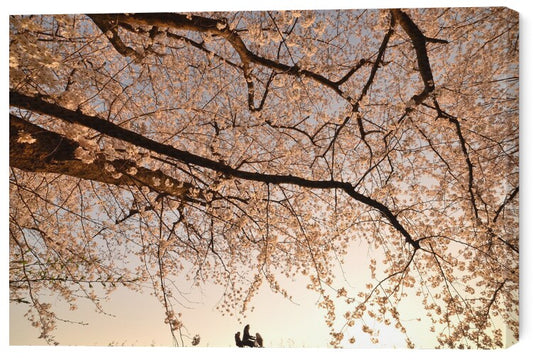 Leinwand Poster, Bilder Way Back, Takanobu　Kano, 60 × 40 cm