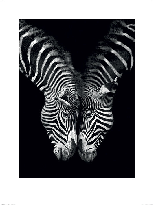 Kunstdruck Marina Cano - Together, 60 × 80 cm