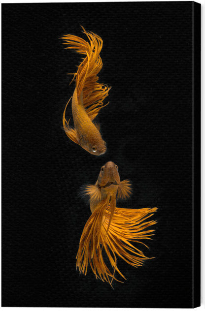 Leinwand Poster, Bilder Love Story of the Golden Fish, Ganjar	Rahayu, 40 × 60 cm