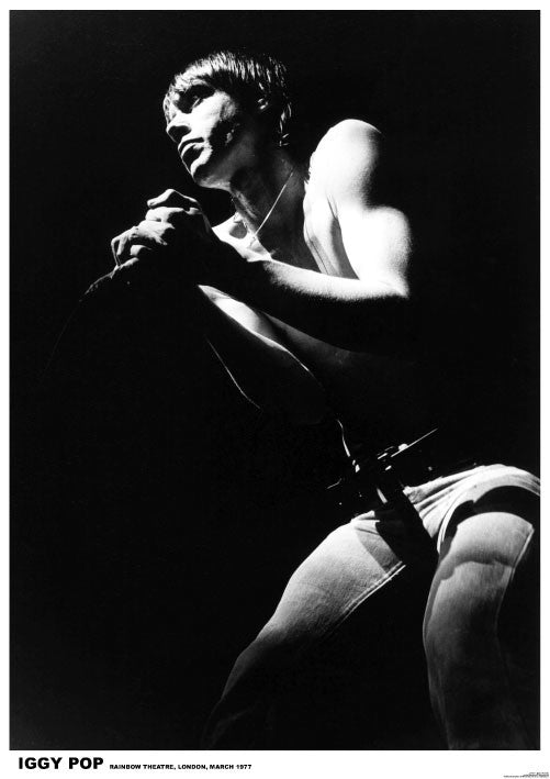 IGGY Pop - London 1977 Poster, Plakat, 59.4 × 84.1 cm