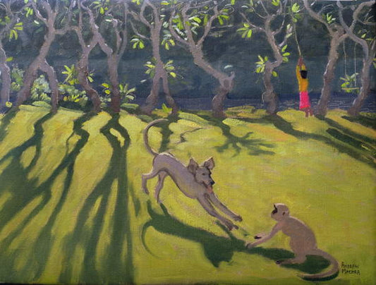 Leinwand Poster, Bilder Dog and Monkey, Sri Lanka,1998, Andrew Macara, 90 × 70 cm