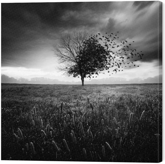 Leinwand Poster, Bilder Printemps Perdu, Sebastien DEL GROSSO, 60 × 60 cm