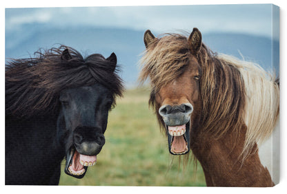 Leinwand Poster, Bilder Wild Smile, Nir Amos, 60 × 40 cm