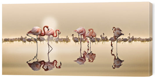 Leinwand Poster, Bilder Flamingos Ii, NASSER OSMAN, 60 × 30 cm