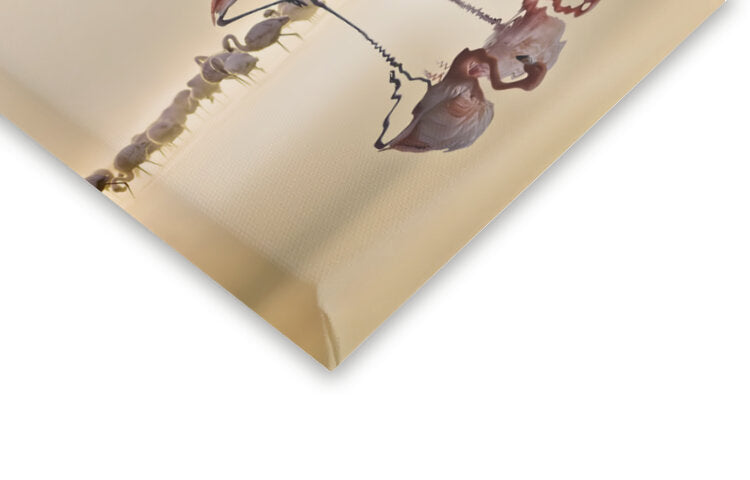 Leinwand Poster, Bilder Flamingos Ii, NASSER OSMAN, 60 × 30 cm