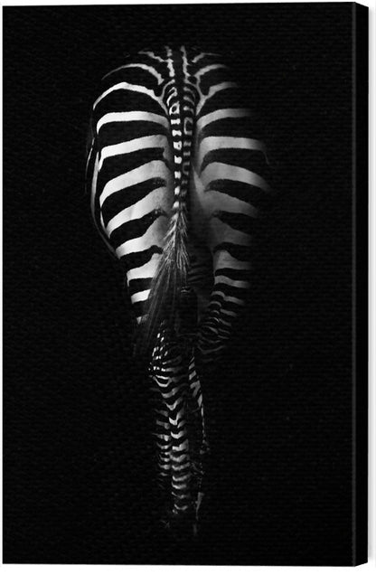 Leinwand Poster, Bilder Zebra Buttocks, Antonio Grambone, 45 × 70 cm