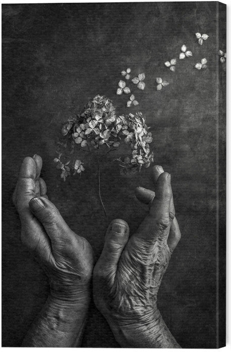 Leinwand Poster, Bilder Tempus fugit, Stephen Clough, 40 × 60 cm