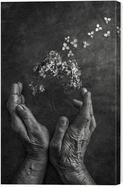 Leinwand Poster, Bilder Tempus fugit, Stephen Clough, 40 × 60 cm